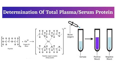 refractometer serum protein|total protein calculation formula.